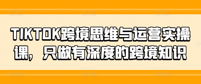 TIKTOK跨境思维与运营实操课，只做有深度的跨境知识-南友云赚