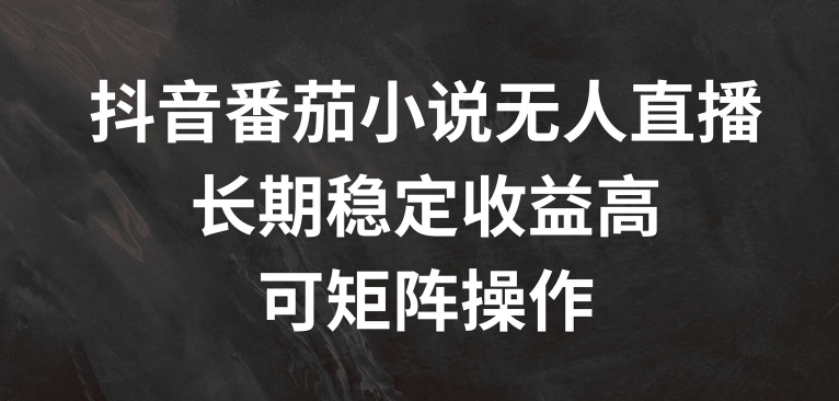 抖音番茄小说无人直播，长期稳定收益高，可矩阵操作【揭秘】-南友云赚