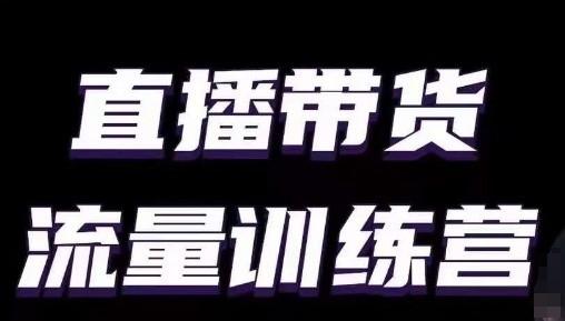 直播带货流量训练营，小白主播必学直播课-南友云赚