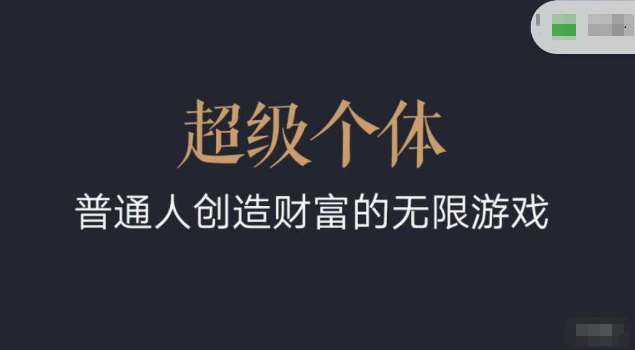 超级个体2024-2025翻盘指南，普通人创造财富的无限游戏-南友云赚