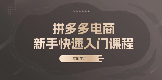 拼多多电商新手快速入门课程：涵盖基础、实战与选款，助力小白轻松上手-南友云赚