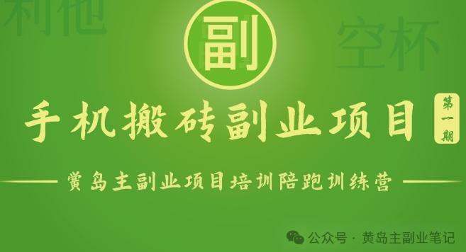 手机搬砖小副业项目训练营1.0，实测1小时收益50+，一部手机轻松日入100+-南友云赚