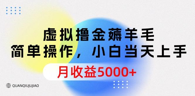 (9864期)虚拟撸金薅羊毛，简单操作，小白当天上手，月收益5000+-南友云赚
