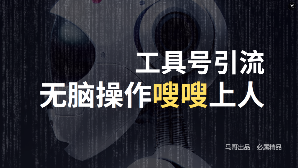 24年抖音最新工具号日引流300+创业粉，日入5000+-南友云赚