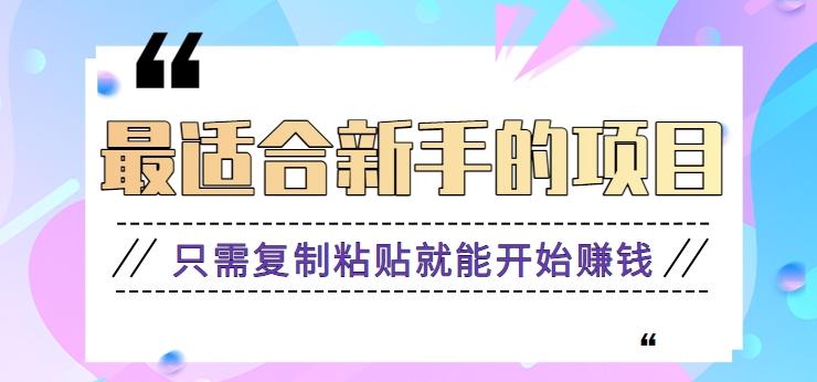 2024最适合新手操作的项目，新手小白只需复制粘贴就能开始赚钱【视频教程+软件】-南友云赚