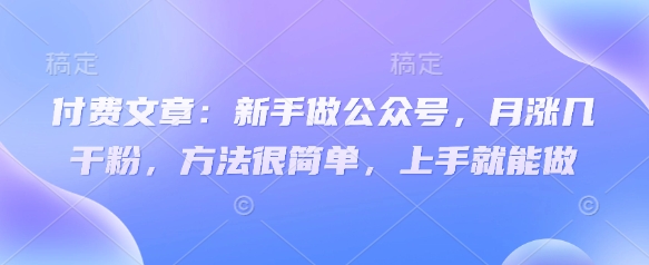 付费文章：新手做公众号，月涨几干粉，方法很简单，上手就能做-南友云赚