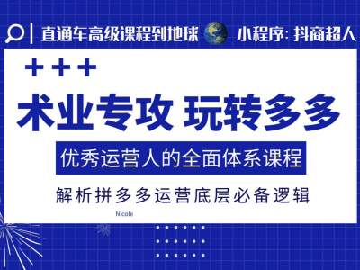 术业专攻玩转多多，优秀运营人的全面体系课程，解析拼多多运营底层必备逻辑-南友云赚
