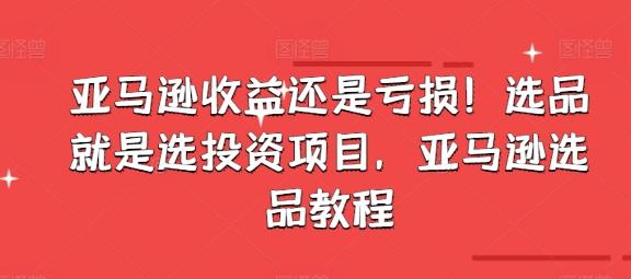 亚马逊收益还是亏损！选品就是选投资项目，亚马逊选品教程-南友云赚