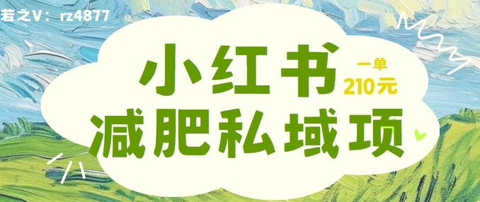 小红书减肥粉，私域变现项目，一单就达210元，小白也能轻松上手【揭秘】-南友云赚