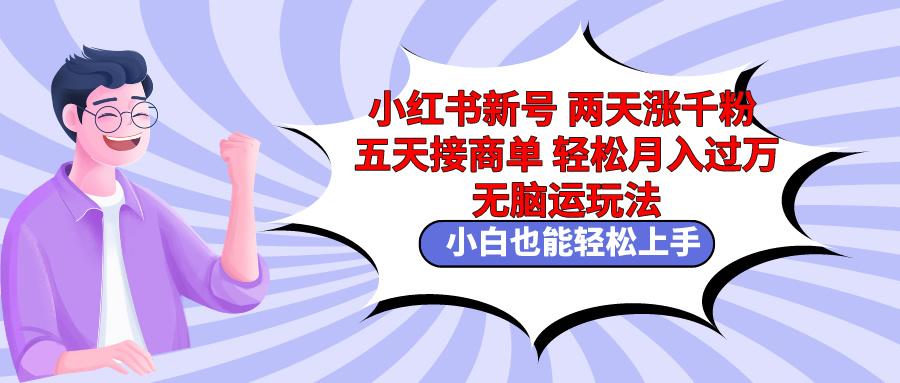 小红书新号两天涨千粉五天接商单轻松月入过万 无脑搬运玩法 小白也能轻…-南友云赚