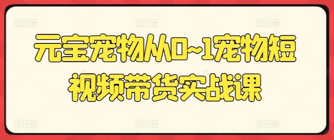 元宝宠物从0~1宠物短视频带货实战课-南友云赚