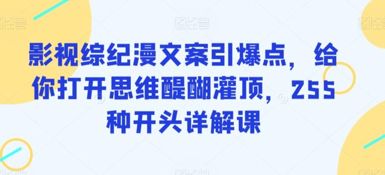 影视综纪漫文案引爆点，给你打开思维醍醐灌顶，255种开头详解课-南友云赚