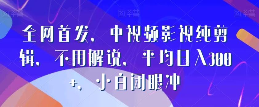 全网首发，中视频影视纯剪辑，不用解说，平均日入300+，小白闭眼冲-南友云赚