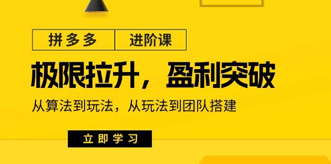 拼多多·进阶课：极限拉升/盈利突破：从算法到玩法 从玩法到团队搭建-18节-南友云赚