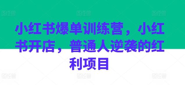 小红书爆单训练营，小红书开店，普通人逆袭的红利项目-南友云赚