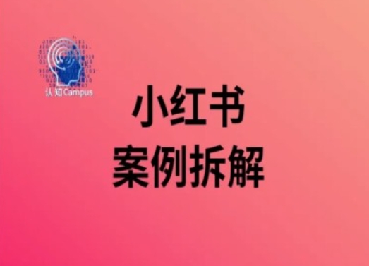 小红书案例拆解，深度解读小红书40万粉-南友云赚