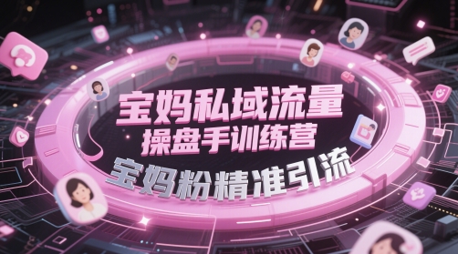 宝妈私域流量操盘手训练营，宝妈粉精准引流-南友云赚