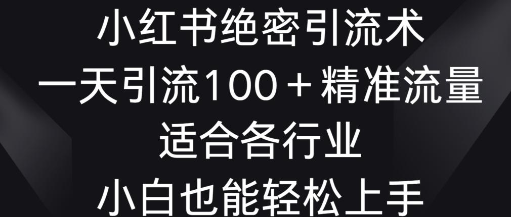 小红书绝密引流术，一天引流100+精准流量，适合各个行业，小白也能轻松上手【揭秘】-南友云赚