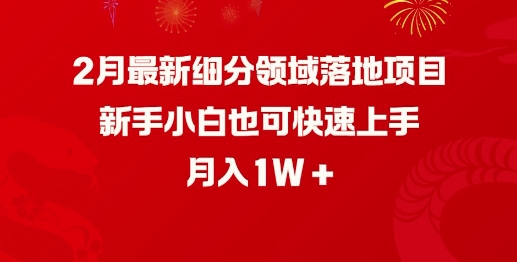 2月最新细分领域落地项目，新手小白也可快速上手，月入1W-南友云赚
