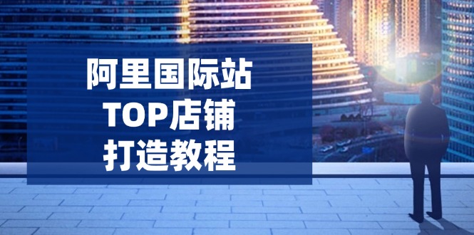 阿里国际站TOP店铺打造教程：涵盖平台到高阶，解决运营难题，提升询盘-南友云赚