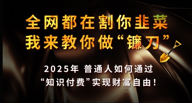全网都在割你韭菜，我来教你做镰刀，2025年普通人如何通过 知识付费 实现财F自由【揭秘】-南友云赚