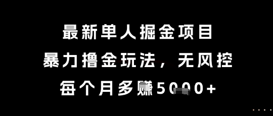 最新单人掘金项目，暴力撸金玩法，无风控，每个月多挣5k+【揭秘】-南友云赚