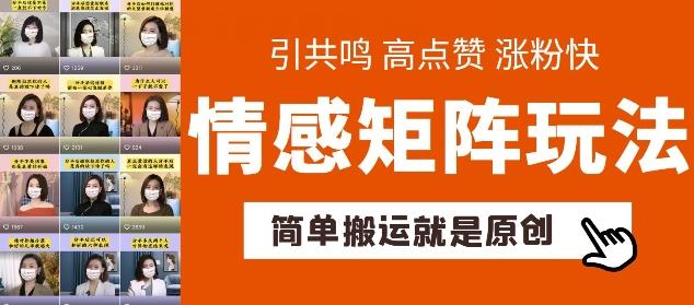 简单搬运，情感矩阵玩法，涨粉速度快，可带货，可起号【揭秘】-南友云赚