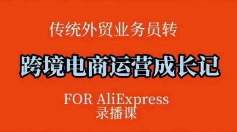 跨境电商速卖通运营课，​运营方法论+后台实操，逻辑清晰-南友云赚