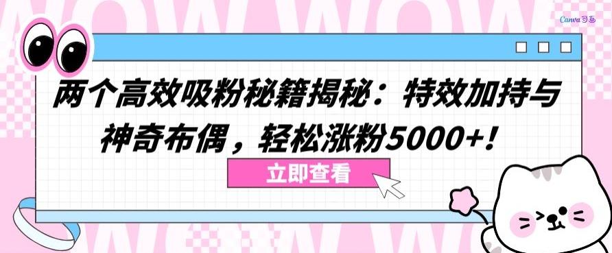 两个高效吸粉秘籍揭秘：特效加持与神奇布偶，轻松涨粉5000+【揭秘】-南友云赚
