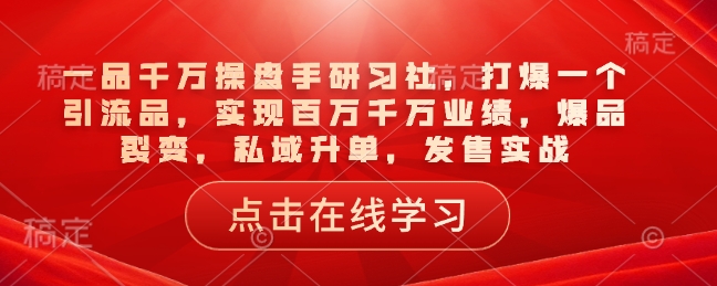 一品千万操盘手研习社，打爆一个引流品，实现百万千万业绩，爆品裂变，私域升单，发售实战-南友云赚