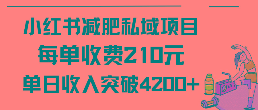 (9466期)小红书减肥私域项目每单收费210元单日成交20单，最高日入4200+-南友云赚