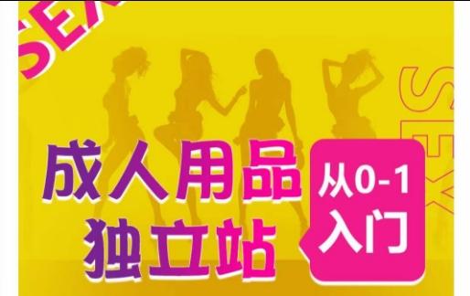 成人用品独立站从0-1入门，成品独立站运营全流程教学，七大好卖成品独立站推荐-南友云赚