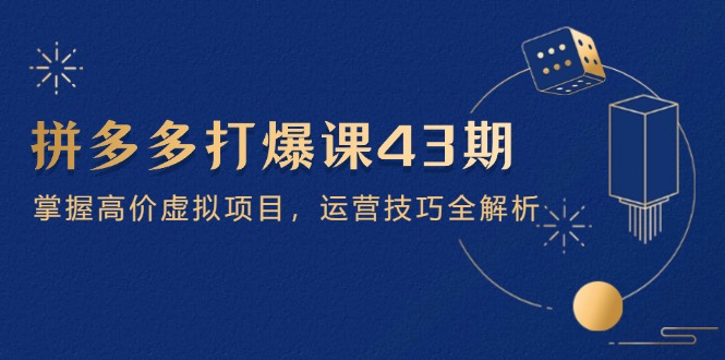 拼多多打爆课第 43 期，掌握高价虚拟项目，运营技巧全解析(15节-南友云赚