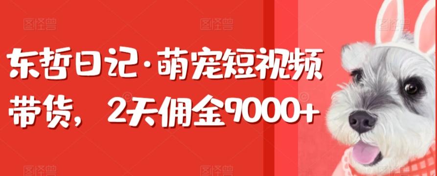 东哲日记·萌宠短视频带货，2天佣金9000+-南友云赚
