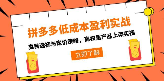 拼多多低成本盈利实战，类目选择与定价策略，高权重产品上架实操-南友云赚