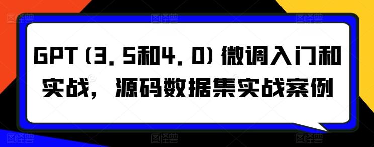 GPT(3.5和4.0)微调入门和实战，源码数据集实战案例-南友云赚