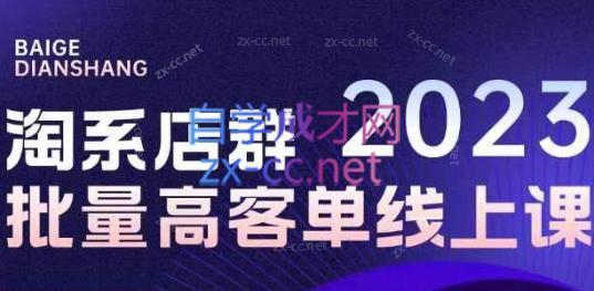 白戈电商·23年淘系批量高客单+24年全域电商矩阵-南友云赚