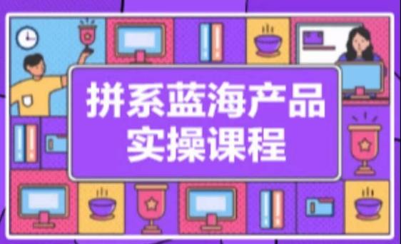 拼系冷门蓝海产品实操课程，从注册店铺到选品上架到流量维护环环相扣-南友云赚
