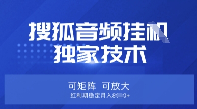 【搜狐音频挂G】独家技术，可矩阵可放大，红利期稳定月入8k【揭秘】-南友云赚