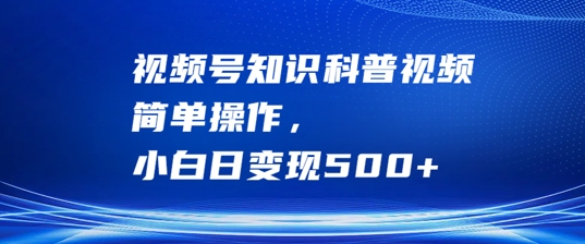 视频号知识科普视频，简单操作，小白日变现500+【揭秘】-南友云赚