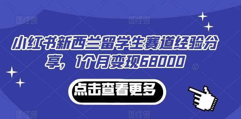 小红书新西兰留学生赛道经验分享，1个月变现68000【揭秘】-南友云赚