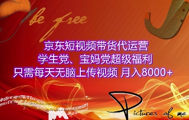 京东短视频带货代运营，学生党、宝妈党超级福利，只需每天无脑上传视频，月入8000+【仅揭秘】-南友云赚