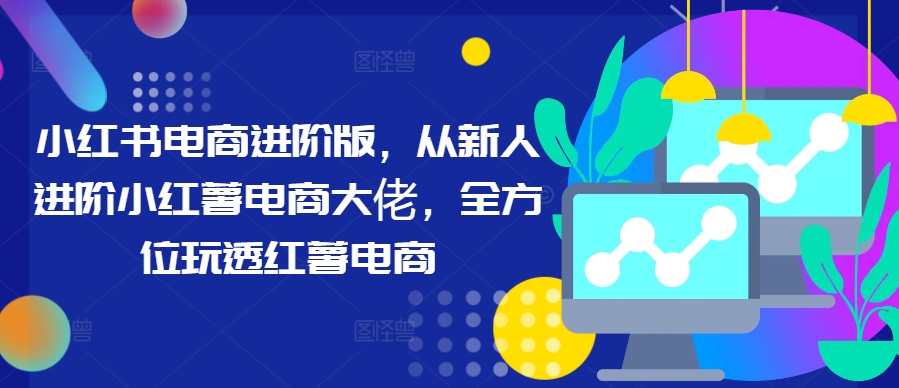 小红书电商进阶版，从新人进阶小红薯电商大佬，全方位玩透红薯电商-南友云赚