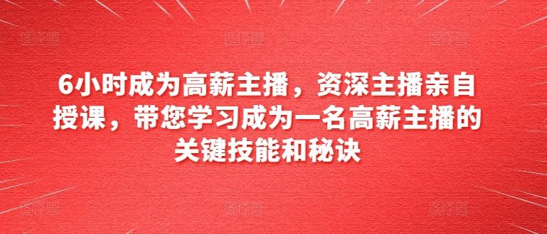 6小时成为高薪主播，资深主播亲自授课，带您学习成为一名高薪主播的关键技能和秘诀-南友云赚