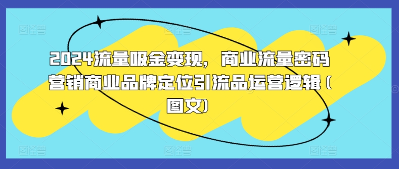 2024流量吸金变现，商业流量密码营销商业品牌定位引流品运营逻辑(图文)-南友云赚