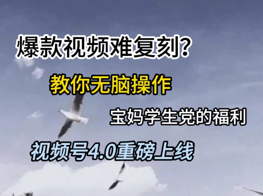 视频号4.0重磅上线，爆款视频难复刻？教你无脑操作宝妈学生党的福利【揭秘】-南友云赚