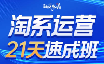 白凤电商·淘系运营21天速成班(更新4月)-南友云赚