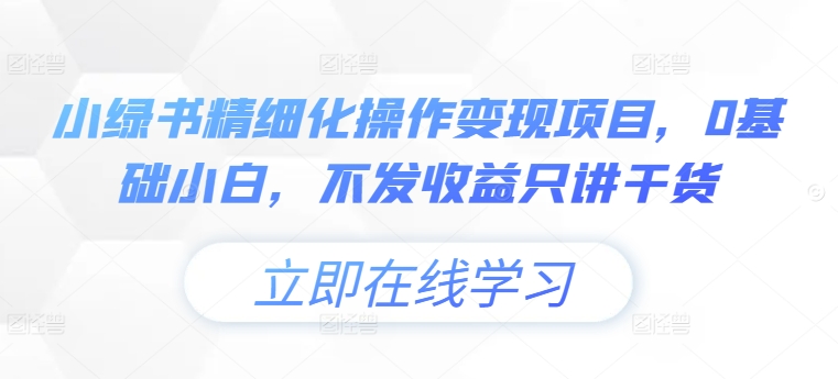 小绿书精细化操作变现项目，0基础小白，不发收益只讲干货-南友云赚