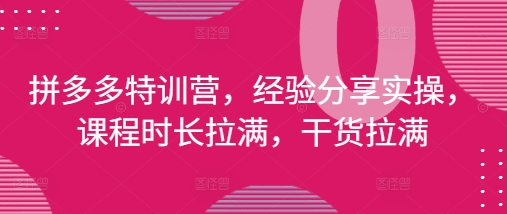拼多多特训营，经验分享实操，课程时长拉满，干货拉满(更新25年4月)-南友云赚