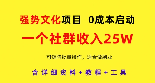 强势文化项目，一个社群收入25个W，0成本启动，可矩阵批量操作，原创详细实操教程-南友云赚